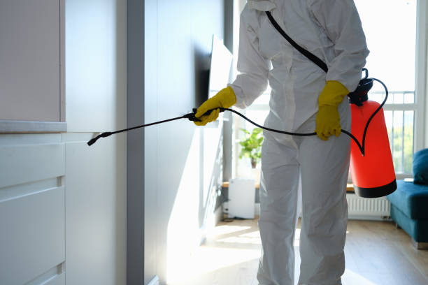 Best Mold Prevention Services  in Rothschild, WI